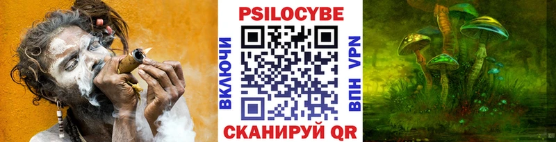 Псилоцибиновые грибы Cubensis  закладки  Агрыз 
